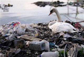 Countries split on plastics treaty focus as UN talks close