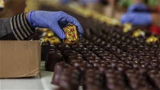 The science behind why we love chocolate so much - and how it could be made healthier