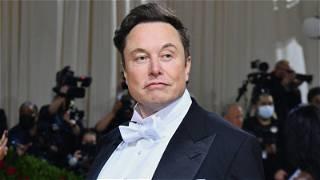 New Twitter policy will follow, question science: Elon Musk
