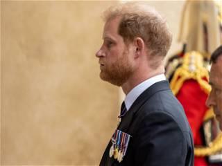Media shy Prince Harry to appear on US TV show to promote his new book, Spare
