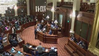Illinois Senate approves assault weapons ban