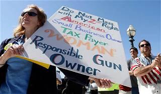 Virginia House GOP votes down gun control measures
