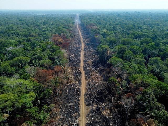 EU agrees to bans imports of products that drive deforestation
