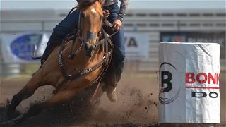 Woman dies after thrown from horse at Florida rodeo