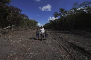 Worries abound that Mexico's Maya Train will destroy jungle