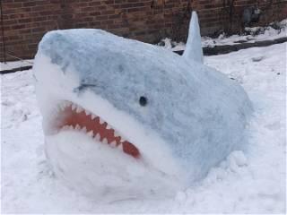 See the ‘spectacular’ snow sharks in art teacher’s front yard