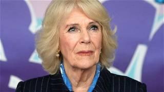 Queen Consort: Camilla has tested positive for COVID-19, Buckingham Palace says