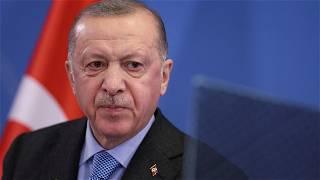 Erdogan says Turkey positive on Finland's NATO bid, not Sweden's