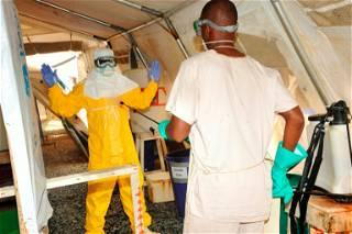Death Toll in Equatorial Guinea Marburg Outbreak Rises to 11