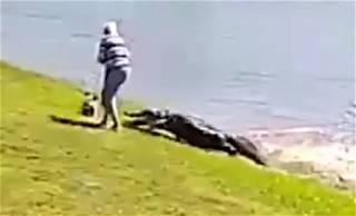 CCTV Footage Shows Alligator Dragging Florida Woman to Her Death