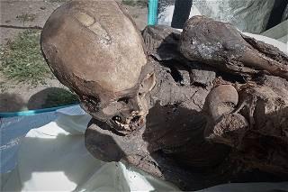 Peruvian delivery man carried ancient mummy around in his bag