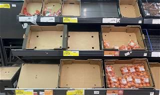 UK supermarkets face tomato shortages