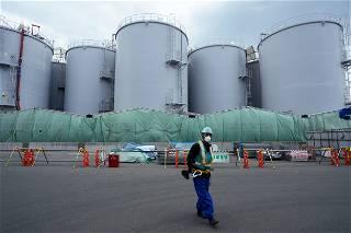 Fukushima plant head: Too early to predict decommissioning