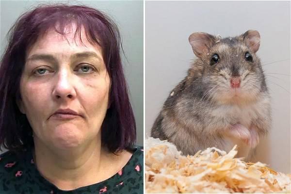 Woman jailed for killing and eating pet hamster