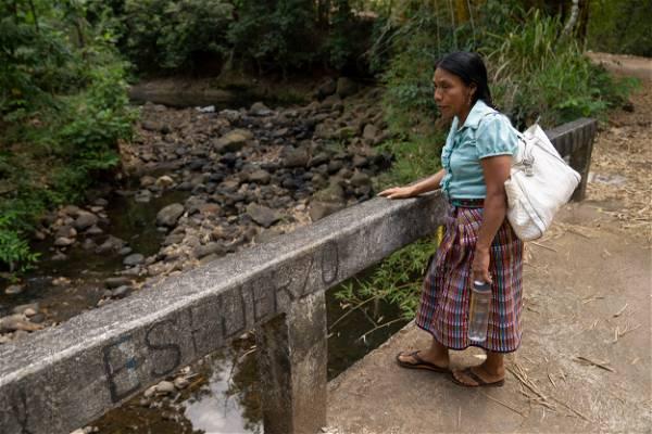 Indigenous farmworker leader bids for Guatemala presidency