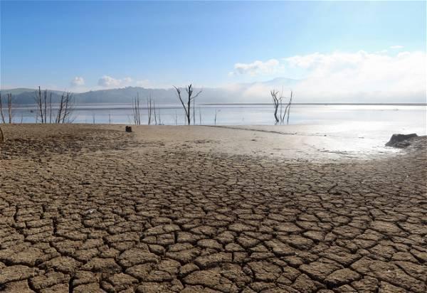 Tunisia to cut off public water supplies overnight due to drought