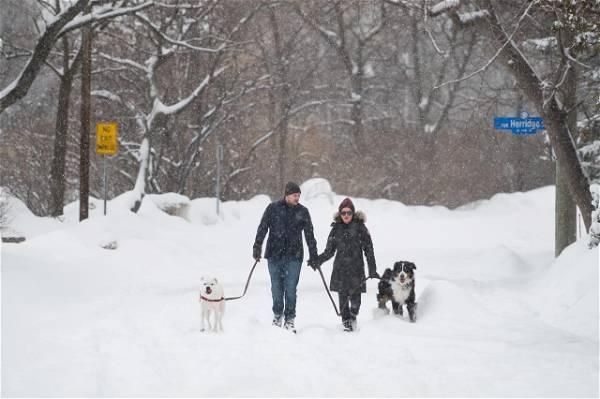 More snow expected Friday in parts of southwestern Ontario