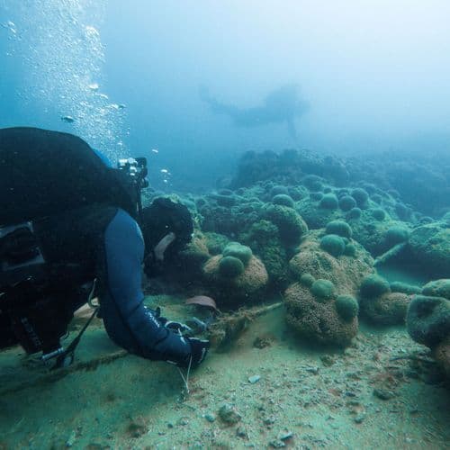 Indigenous rangers participate in one of the largest Great Barrier Reef restoration programs