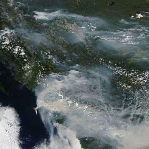 Movers and Shakers news roundup