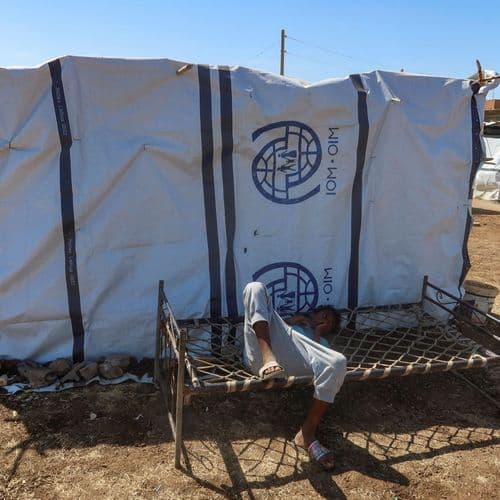 Indian national captured by RSF militia in Sudan; New Delhi in touch with authorities to secure release