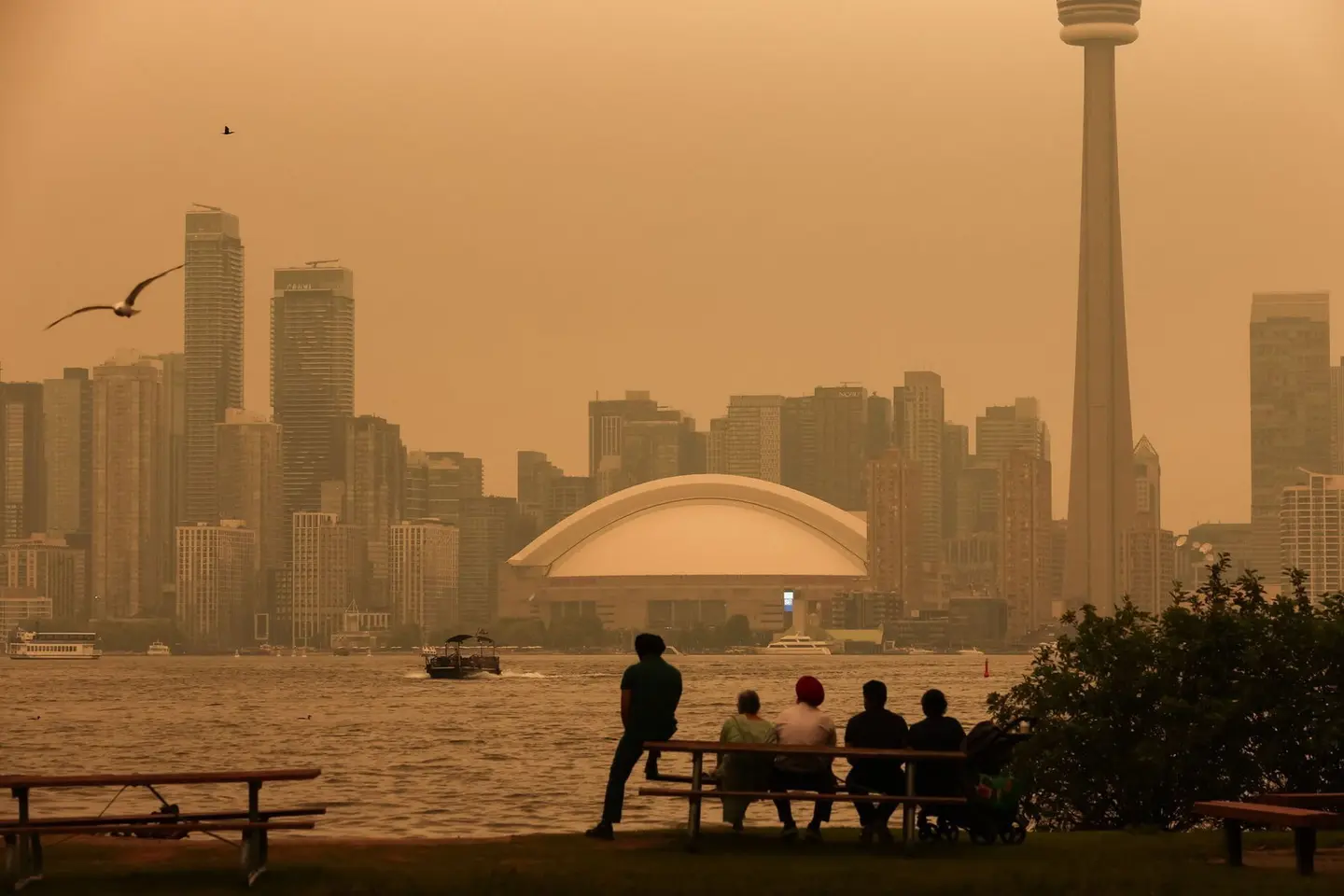 Cole BURSTON / AFP via Getty Images/Getty