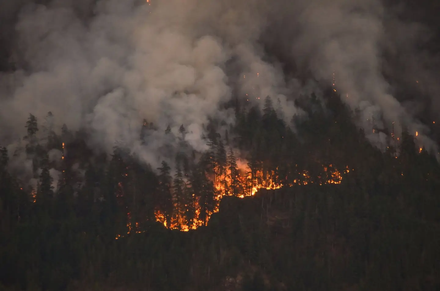 Colby Rex O'Neill / AFP via Getty Images/Getty