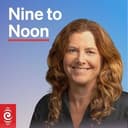 Nine to Noon Politics