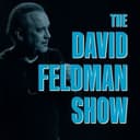 The David Feldman Show